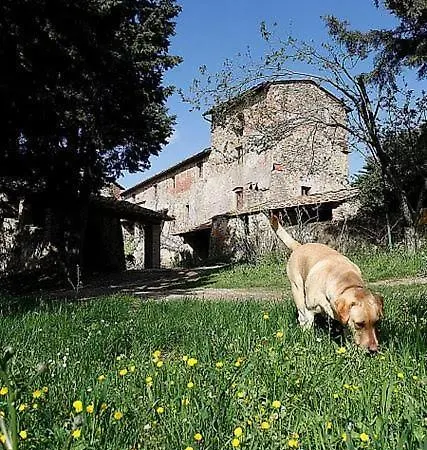 Apartament Casa Fallocchio San Casciano in Val di Pesa